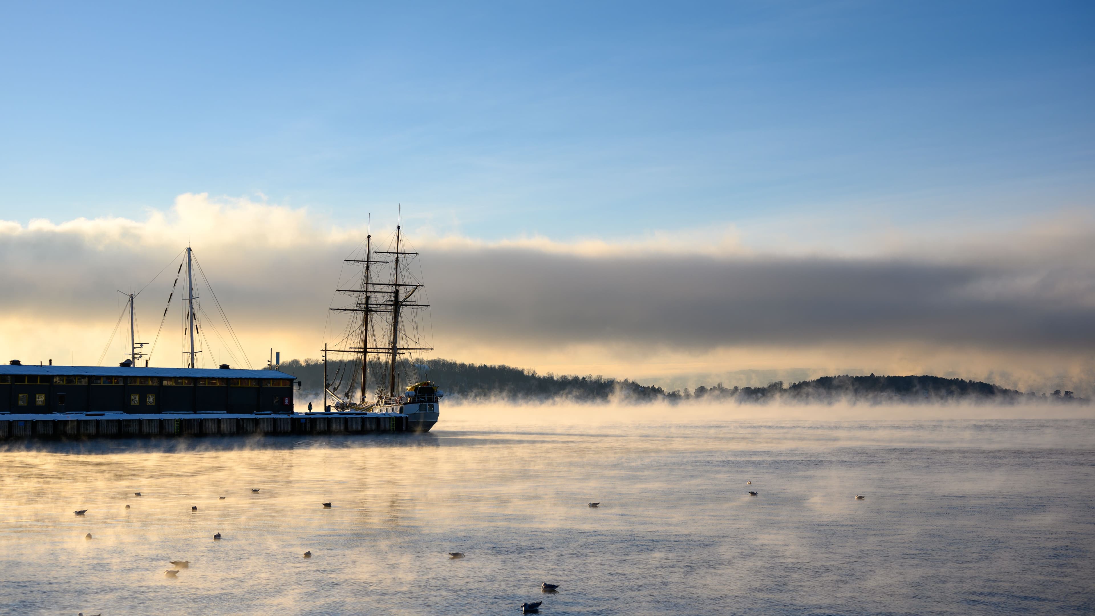 A quiet harbor at dawn with mist resting over still water.